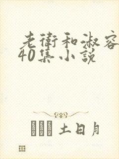 老卫和淑容1-40集小说