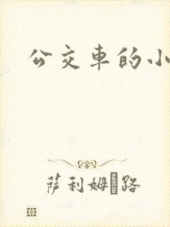 公交车的小说