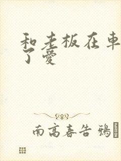 和老板在车里做了爱