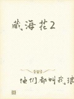 藏海花2