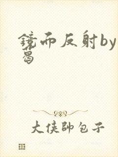 镜面反射by九葛