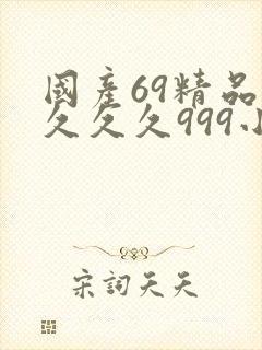 国产69精品久久久久999小说