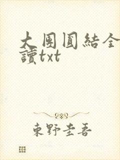 大团圆结全文阅读txt