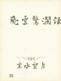 飞云惊澜录