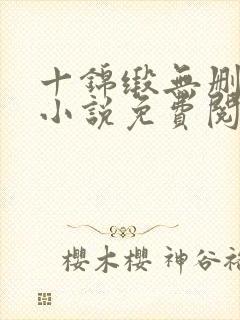 十锦缎无删原著小说免费阅读