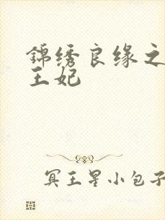 锦绣良缘之北地王妃