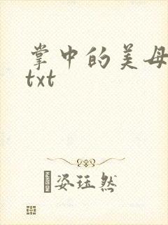 掌中的美母版主txt