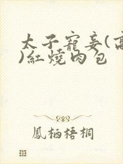 太子宠妾(高肉)红烧肉包