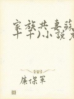 家族共妻苏苏(十千)小说免费