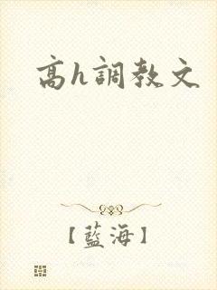 高h调教文