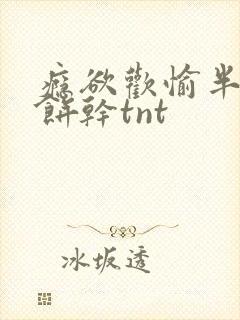 瘾欲欢愉半块小饼干tnt