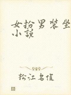 女扮男装坐江山小说