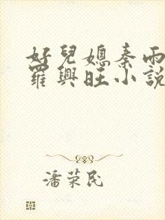 好儿媳秦雨罗明罗兴旺小说