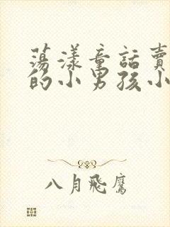 荡漾童话卖火柴的小男孩小说