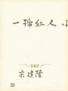 一号红人 小说