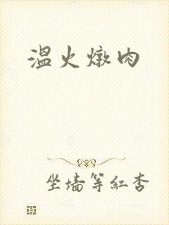 温火炖肉
