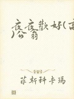 夜夜欢好(高h)公翁