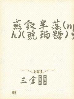 燕钗半落(nph)(琥珀糖)更新