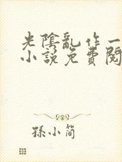 光阴乱作一团的小说免费阅读