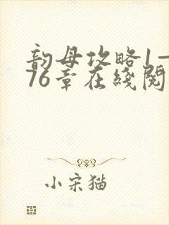 韵母攻略1—176章在线阅读