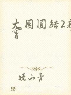 大团圆结2亲情会