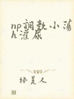 np调教小荡货h灌尿