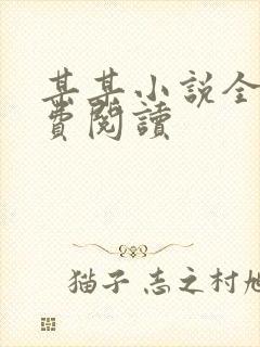 某某小说全文免费阅读