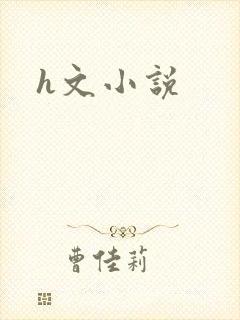 h文小说