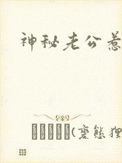 神秘老公惹不起