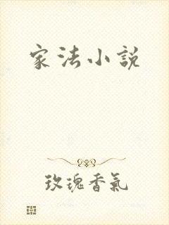 家法小说
