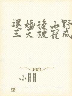 退婚后山野糙汉三天被宠成宝小说