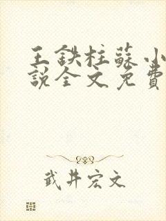 王铁柱苏小汐小说全文免费阅读最新章节