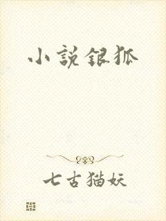 小说银狐