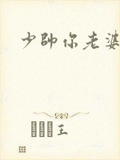 少帅你老婆