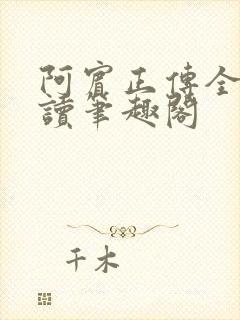 阿宾正传全文阅读笔趣阁