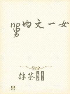 np肉文一女多男