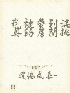 我被带到满是玩具的房间挑调游戏