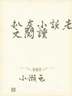 扒灰小说老马全文阅读