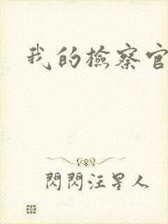 我的检察官先生