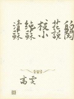 清纯校花的日常苏苏小说阅读全文