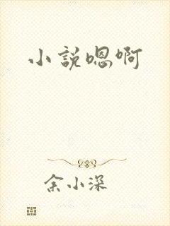 小说嗯啊
