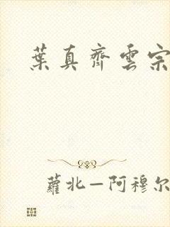 叶真齐云宗免费