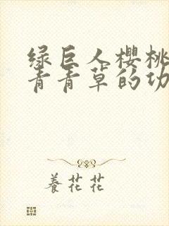 绿巨人樱桃荔枝青青草的功效