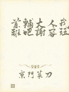 首辅大人我们和离吧谢容珏