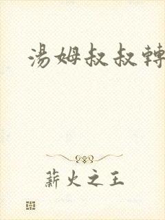 汤姆叔叔转接口