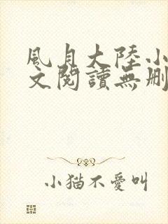 风月大陆小说全文阅读无删减