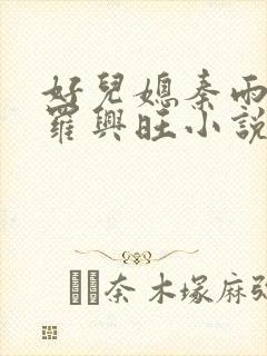 好儿媳秦雨罗明罗兴旺小说