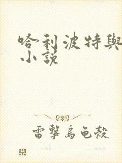 哈利波特与密室小说