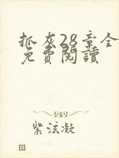 抓灰28章全部免费阅读