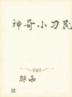 神奇小刁民